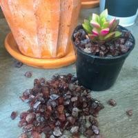 ราคา โกเมน การ์เนตชนิดสีแดง Garnet (7317733590)