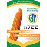 ราคา เมล็ดข้าวโพดเลี้ยงสัตว์ พันธุ์ GT 722 ขนาด5กิโลกรัม ทนแล้งได้ดี ฝักขนาดใหญ่แกนเล็กให้ผลผลิตและกำไรเพิ่มขึ้นเท่าตัว (6738096129)