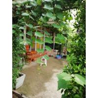 ราคา ชุดองุ่น+ไทร​เกาหลี​ สำหรับจัดซุ้ม​ (5439244775)