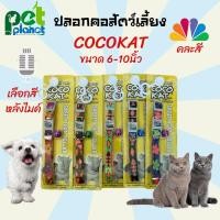 ราคา ปลอกคอนิรภัย CocoKat ไนล่อนพิมพ์ลาย ปลอกคอแมว ปลอกคอสุนัข ปลอกคอลูกแมว ปลอกคอลูกสุนัข ขนาด "6-10" (ปรับขนาดได้) (12508980788)