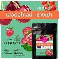 ราคา เมล็ดกาแฟคั่ว le tor gold เลอ ตอ โกลด์ ช่างเปา Dry Process (คั่วอ่อน) 200 g (20003268287)