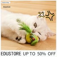 ราคา <ปลาค็อด> จิ้งหรีด นกของเล่นแมวสมจริงตื่นเต้นเสียงของเล่นแมวกระพือปีกของเล่นแมวแบตเตอรี่ดําเนินการนกของเล่นสําหรับแมวในร่มกระตุ้นลูกแมวของเล่นสําหรับผู้ซื้อทางก (28184749439)