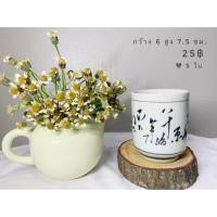 ราคา กระถางเซรามิกญี่ปุ่น กระถางต้น (4724935518)