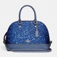 ราคา พร้อมส่ง Coach โดมจิ๋ว 7 นิ้ว ใบเล็กหรูหรา (767411147)