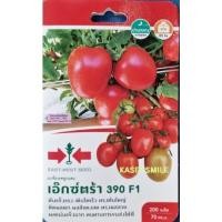 ราคา เมล็ด มะเขือเทศ ศรแดง (12017932759)