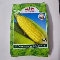 ราคา เมล็ดข้าวโพดหวาน จัมโบ้สวีท F1 ตราศรแดง ขนาด 1 กิโลกรัม ประมาณ 8,500เมล็ด (41773517362)