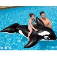 ราคา ห่วงยางกลมลายปลาโลมา แพยาง ห่วงยางเป่าลม แพยางแฟนซี (25367052364)