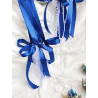 ราคา สายกั้นประตู คริสตัล มินิมอล ริบบิ้นน้ำเงิน กรม ดอกไม้แห้ง สายกั้นประตูงานแต่ง ของใช้งานแต่ง ยาว 1.2 เมตร (19076849176)