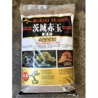 ราคา ดินญี่ปุ่น อคาดามะ Akadama Soil (ถุงแบ่ง 300กรัม) - มี #SS , #S และ #M (7302187423)