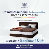 ราคา LOTUS ที่นอนยางพาราแน่นสบาย รุ่น Sienna หนา 4 นิ้ว Latex Made in Belgium ~ฟรีหมอนหนุนใยสังเคราะห์ ส่งฟรี (26861624604)