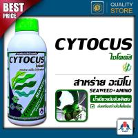 ราคา Cytocus สาหร่ายน้ำเขียวข้น ขนาด 1 ลิตร ส่งเสริมการสร้างไซโตไคนิน การแบ่งเซลล์ แตกกอ ขยายเซลล์ (12040279716)