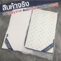 ราคา สบายคอ หมอน หมอนโรงแรม หมอนสุญญากาศ หมอนหนุนใบใหญ่ หมอนนอน (24440975646)