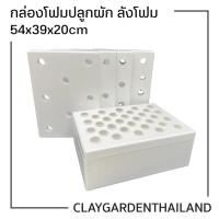 ราคา กล่องโฟมปลูกผัก กล่องโฟม ลังโฟม ปลูกผักไฮโดร กล่องใส่กุ้ง กล่องลังโฟม กล่องกุ้ง 10กก. ไฮโดรโปนิกซ์ (24873071250)