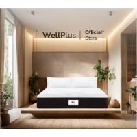 ราคา SB Design Square Wellplus ที่นอนพ็อกเก็ตสปริง รุ่น Taylor ความหนา11 นิ้ว ขนาด 6ฟุต (28122935837)