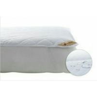 ราคา [ของแท้ %] Lotus : โลตัส ผ้ารองกันเปื้อนที่นอน รุ่นกันน้ำ ไม่เต็มตัว (ยางรัดมุม 4 ด้าน) ขนาด 3.5 , 5 , 6 ฟุต (312391577)