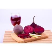 ราคา ต้นพันธุ์ บีทรูท (Beetroot) ถุงดำพร้อมปลูก 29 บาท บีทรูท หรือ ผักกาดฝรั่ง (44220936348)