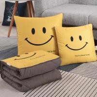 ราคา (ขายหมดสต๊อก Super Dea)หมอน, หมอนสำนักงาน, หมอนอเนกประสงค์, อเนกประสงค์, ถอดออกได้เป็นผ้าห่ม, พับเก็บได้ (28584517538)