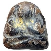 ราคา พระปิดตา หลวงพ่อแก้ว วัดเครือวัลย์ พิมพ์หลังแบบ ส่งตรงปก (26366618786)