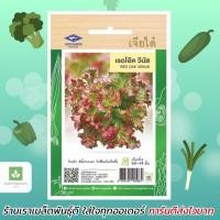 ราคา เรดโอ๊ค Red Oak เจียไต๋ เมล็ดพันธุ์ผักสลัด ผักสลัด 1,000เมล็ด (859624366)