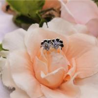 ราคา ต่างหูเพชรหนามเตยเม็ดเดี่ยว (12946898796)