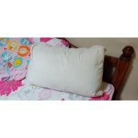 ราคา หมอนขนนกธรรมชาติ จาก PRIM (4832186724)