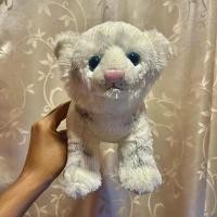ราคา ตุ๊กตาเสือขาว เสือขาว เสือ White Tiger เสือเหมือนจริง เสือ เสือเหมือน ตุ๊กตาเสือนุ่ม ตุ๊กตาเสือท่านอน เสือท่ายืน Tiger (40700545315)