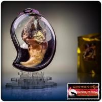 ราคา เล็บเสืo ตะปบทรัพย์ หลวงพ่อเมียน กัลยาโณ วัดจะเนียงวนาราม จ.บุรีรัมย์ (26589378923)