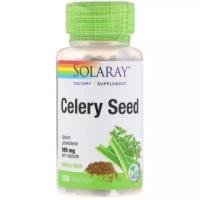 ราคา Celery Seed พร้อมส่ง (2436043199)