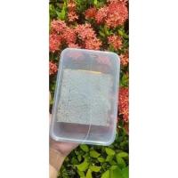 ราคา ส่งฟรี ‼️รวงผึ้ง ขนาด 400-420 กรัม แท้ % สดจากฟาร์มผึ้งเลี้ยง (15786036716)