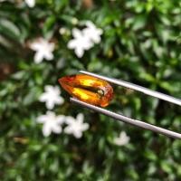 ราคา ซิทรีน ( Citrine ) (17755559667)