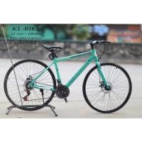 ราคา จักรยาน Hybrid จาก Richter Bike รุ่น EFFECT (13448998525)