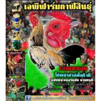 ราคา ไข่เชื้อไก่ชน สายเลือด เแสนกล เยียร์วิบวับ บิ๊กกัฟ พระจันทร์เสี้ยว ไข่เชื้อสำหรับฟัก ไก่พม่า (11827045993)