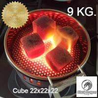 ราคา BlackDragon ถ่านบาบีคิว ถ่านอัดแท่งกะลามะพร้าว รูปทรงสี่เหลี่ยมลูกเต๋า Coconut Shell Charcoal Cube 22x22x22 3kg. (3211829812)