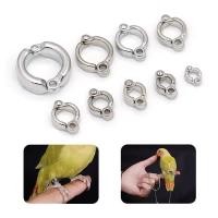 ราคา ห่วงนก โลหะ ห่วงขานก ค๊อกคาเทล กรีนชีค 6mm (24961989519)