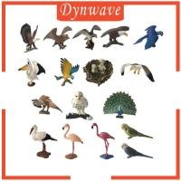 ราคา [Dynwave] โมเดลนกฟลามิงโก้ นกฮูก นกกระเรียน นกนางนวล นกแก้ว นกฟลามิงโก้ นกฮูก ของเล่นสําหรับเด็ก (24073499884)