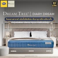 ราคา Dream Tree ที่นอนรุ่น Diary Dream High Density Foam หนา 9นิ้ว จัดส่งฟรี (12528368788)