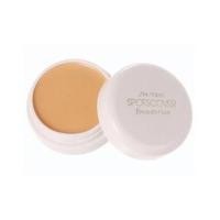 ราคา Shiseido Spotscover Foundation ขนาด 20g (13590825)