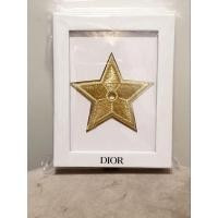 ราคา เข็มกลัด Dior Star Pin ของแท้ % (18326968223)