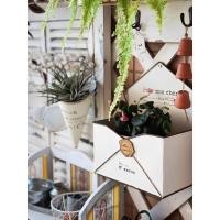 ราคา ลานกลางแจ้งแขวนผนังสวนกระถางดอกไม้ขอบหน้าต่างศิลปะเหล็กตกแต่งระเบียงดีบุกฉ่ํากระถางดอกไม้ซองจดหมายแขวนดอกไม้ภาชนะ 6พีซีคิว (43169227487)