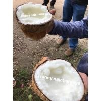 ราคา มะพร้าวกะทิทับสะแก เนื้อฟูจากสวน แท้ !!! (20906436754)