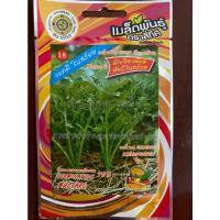 ราคา เมล็ดผักเขียวน้อย 10 แถม 1 ผักเขียวน้อยพันธุ์ใบสร้อย mustard เมล็ดพันธุ์ผัก (20603464793)