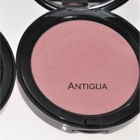 ราคา Bobbi Brown Illuminating Bronzing Powder
