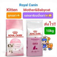 ราคา Royal Canin Kitten 10kg / Royal Canin Mother & Babycat 10kg โรยัลคานิน อาหารแมว แม่แมว ลูกแมว ถุง 10 กก. (14922469628)