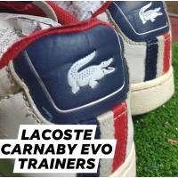 ราคา Lacoste CARNABY EVO TRAINERS (7693619850)