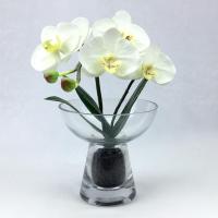 ราคา OrientalFineArt ดอกกล้วยไม้ประดิษฐ์ แจกันดอกไม้ประดิษฐ์ตกแต่งบ้าน กล้วยไม้สีขาวพร้อมแจกันแก้ว (4478583787)