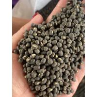 ราคา ถั่วแขก,ถั่วเพาะงอก ถั่วแขกพันธุ์ชัยนาท4,ถั่วแขกดำ (25462065456)