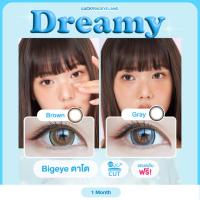 ราคา คอนแทคเลนส์ Dreamy Brown / Gray (Kitty Kawaii) ขนาดบิ๊กอาย (13019775846)