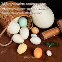 ราคา ไข่จำลองเหมือนจริงทุกขนาด ไข่ไดโนเสาร์-นกกระจอกเทศ-ไข่เป็ด-ไข่ไก่-ไข่นกกระทา พร็อพตกแต่ง & ถ่ายภาพ (43862731782)