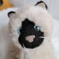 ราคา ตุ๊กตาแมว พันธุ์หิมาลายัน ตุ๊กตาสัตว์ ตุ๊กตามือสอง (22534104021)