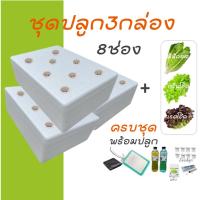 ราคา [ชุด3กล่องครบชุด] ชุดกล่องโฟมปลูกผักไฮโดรโปนิกส์ ปลูกผักไฮโดรโปนิกส์ hydroponic (27489444189)
